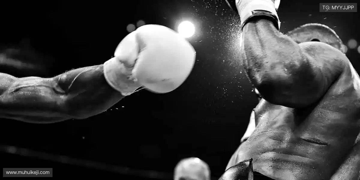 专属运动潮流，让热爱触手可及！🎁👕